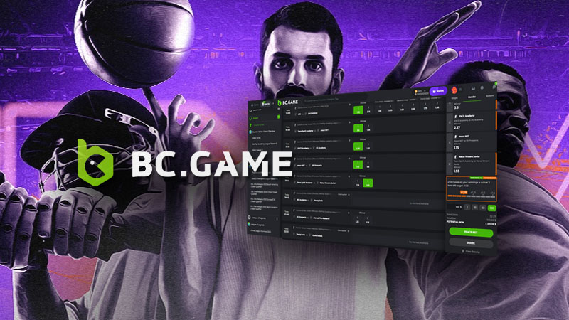 Explore the Thrills of BC Game A World of Endless Betting